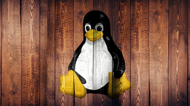 New wormable DarkRadiation ransomware targets Linux distros