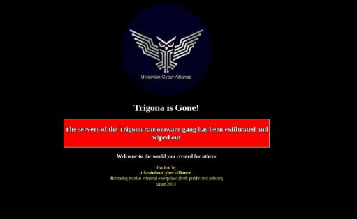 Pro-Ukraine hacktivists reportedly hijacked Trigona ransomware servers